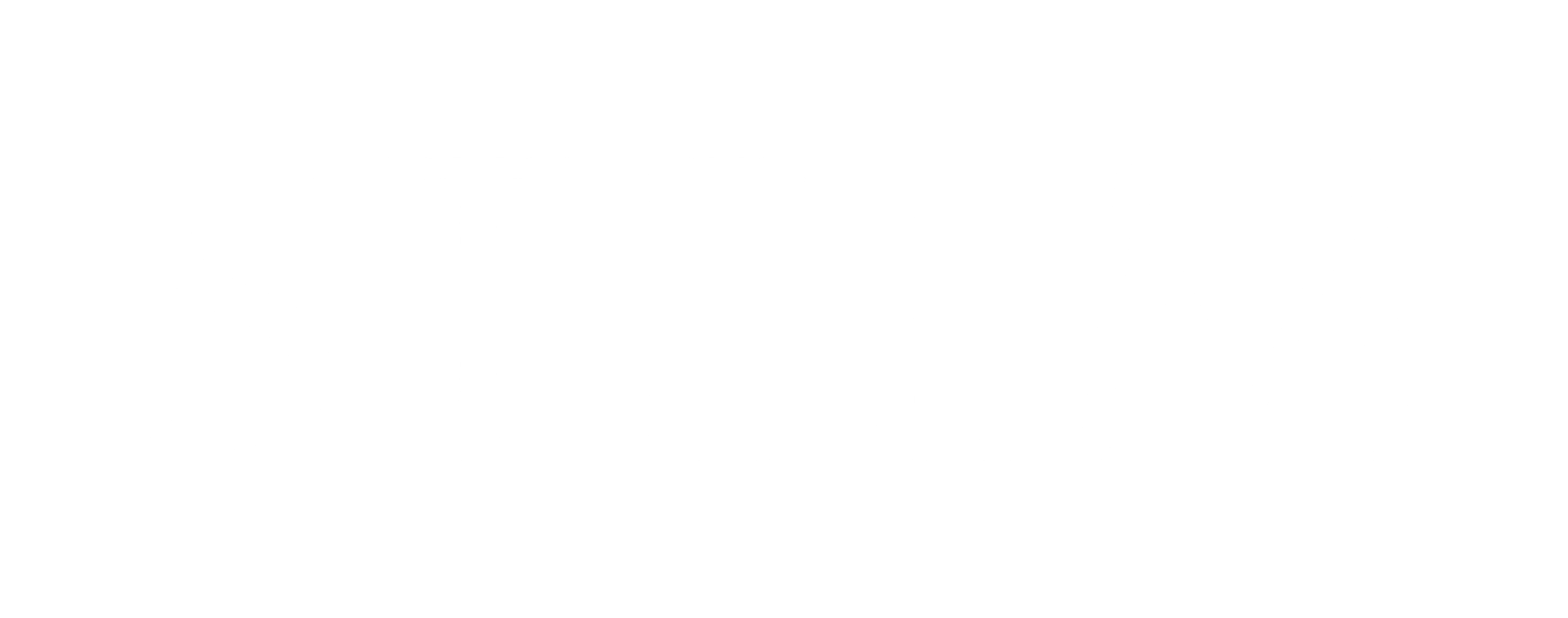STELM